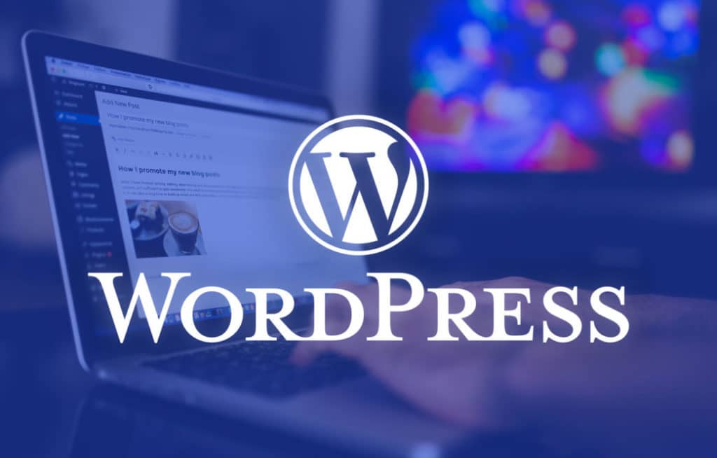 Looking for a WordPress Developer?