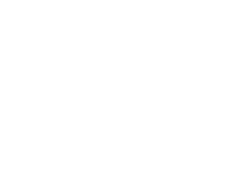 Cyber CX logo